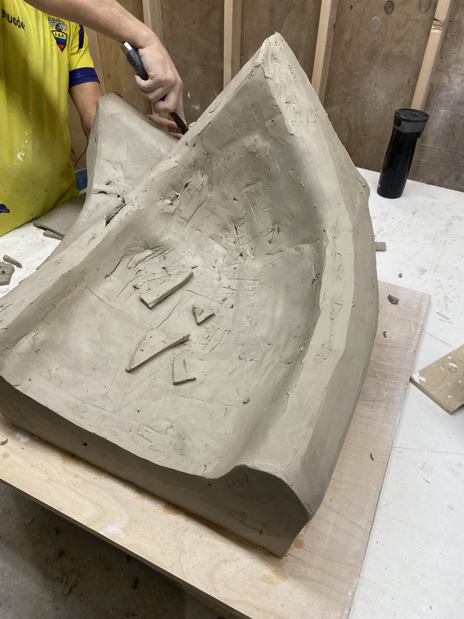 Yeshiva University Project 